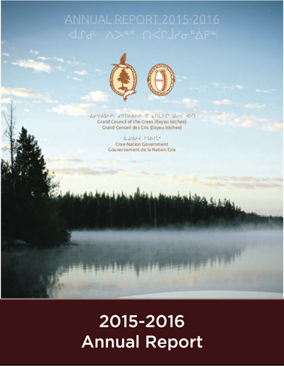 AnnualReport 2015 2016 L
