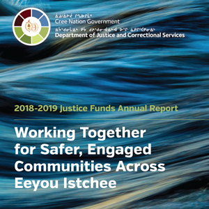 DOJCS Funds Annual Report 2018 2019 